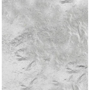 La variante ARGENTO PA-33C-813-B/501M della vernice a base di caseina EASY PAINT